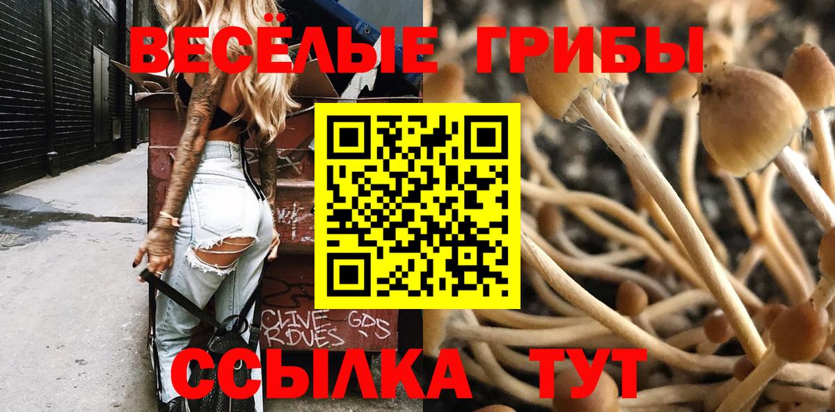 Псилоцибиновые грибы GOLDEN TEACHER  Вход с VPN  Курган 
