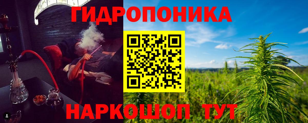 Бошки Шишки VHQ  Вход с VPN  Курган  Бошки марихуана конопля  Канабис Amnesia 